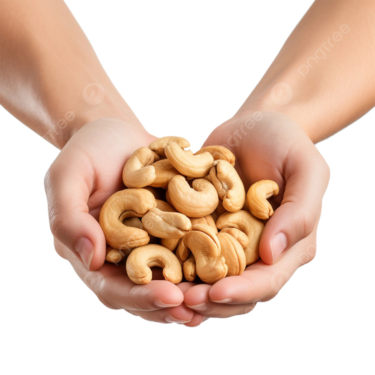 pngtree-cashews-nuts-on-hand-transparent-background-png-image_13541176